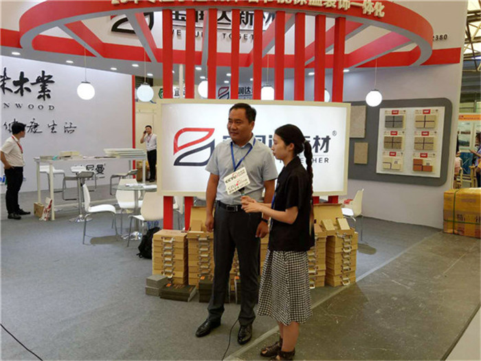 德晋贵宾厅2018上海国际绿色建材展