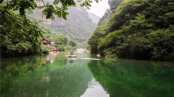 德晋贵宾厅 德晋贵宾厅