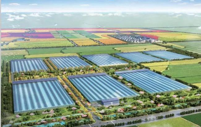 德晋贵宾厅项目